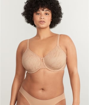 The Absolute Minimizer: undefined