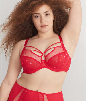 Sachi Cage Plunge Bra: undefined