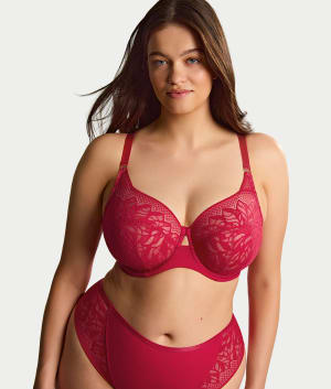 Sophia Full Coverage Stretch Lace Bra: undefined