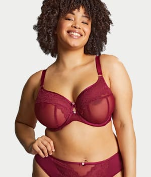 Natalia Full Coverage Lace Sheer Bra: undefined