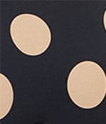 Midnight Polka
