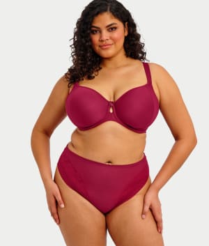 Nerina Hi-Cut Brief: undefined