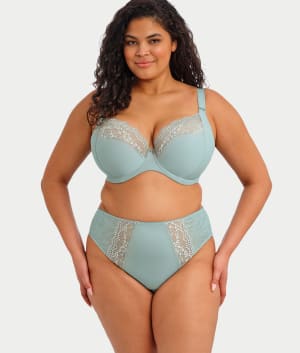 Lucie High Leg Brief: undefined