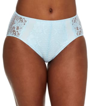 The Essential Lace Hi-Cut Brief: undefined