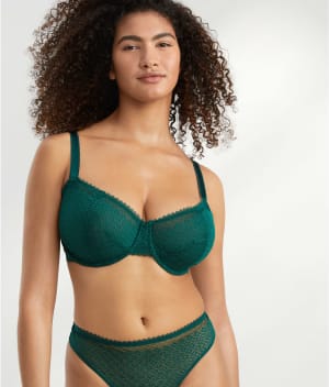 The Push-Up Without Padding Bra: undefined