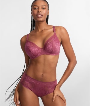 Fusion Lace Brief: undefined