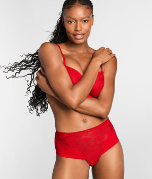 Tango Lace Deep Brief: undefined